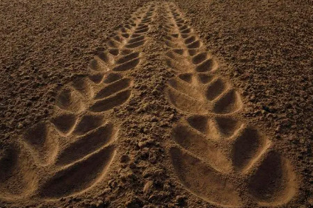 Tractor Tracks in Rimbey Implements LTD